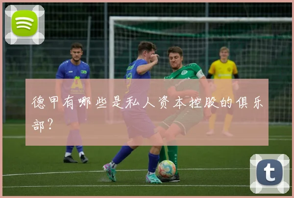 德甲有哪些是私人资本控股的俱乐部?