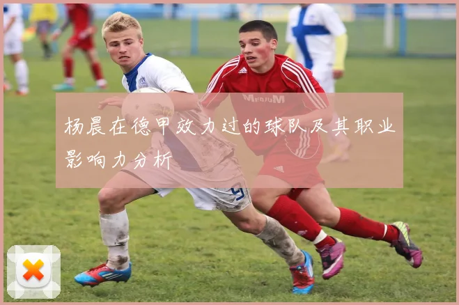 杨晨在德甲效力过的球队及其职业影响力分析